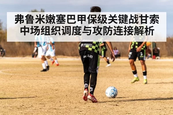 弗鲁米嫩塞巴甲保级关键战甘索中场组织调度与攻防连接解析